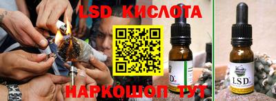 стафф Будённовск