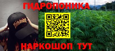 стафф Будённовск