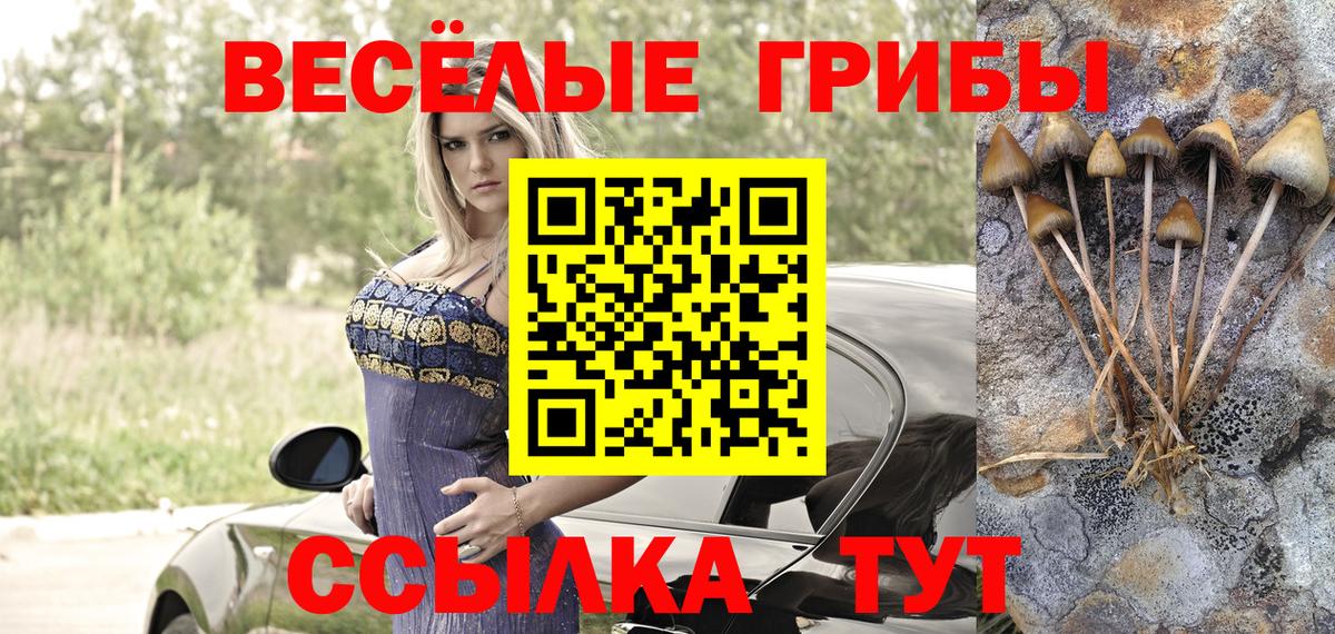 Галлюциногенные грибы мухоморы Вологда